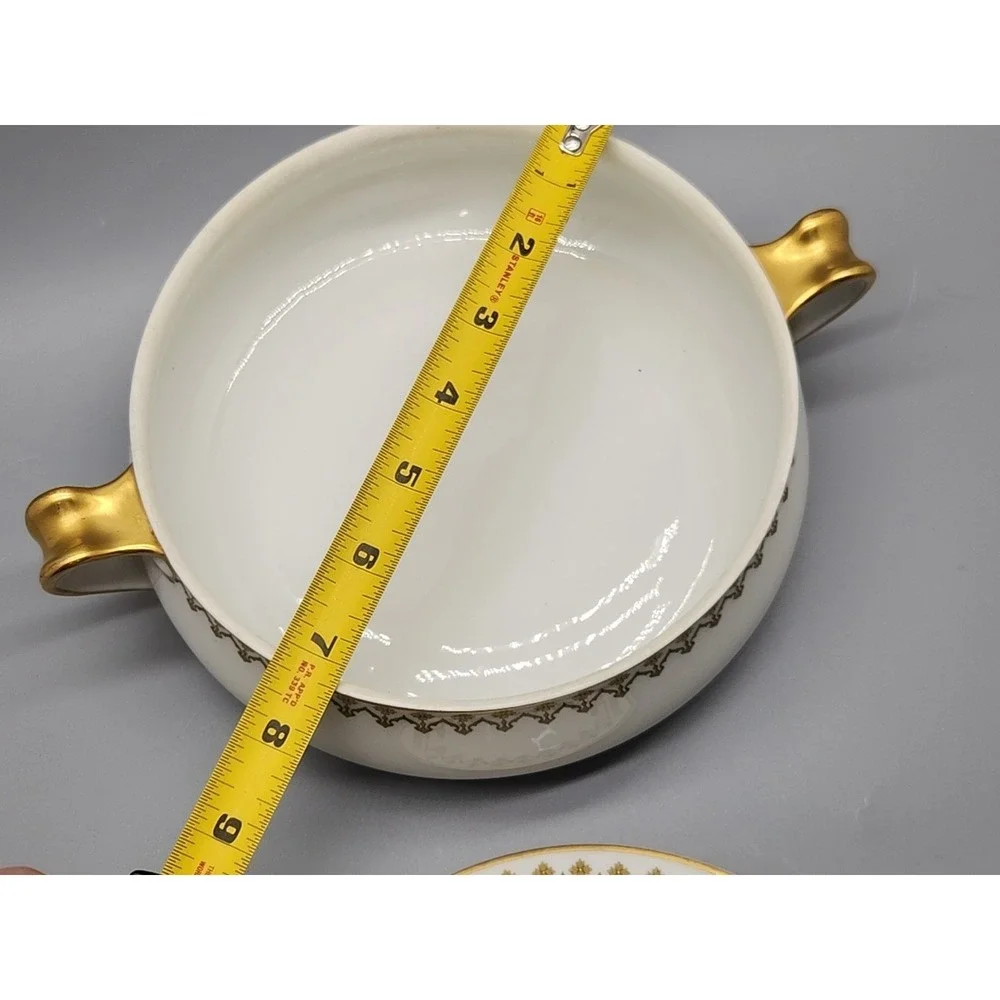 Haviland & Co. LIMOGES Round Covered Vegetable Serving Bowl France Schleiger
